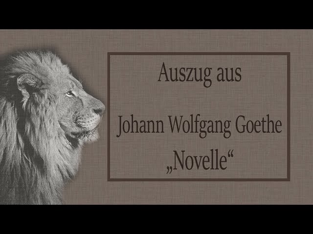 Johann Wolfgang Goethe „Novelle“ (Auszug)