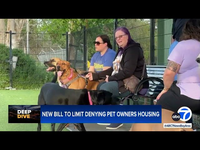 How new CA bill would eliminate housing barriers for pet owners
