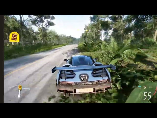 A jungle race -see the physics | Forza Horizon Gameplay