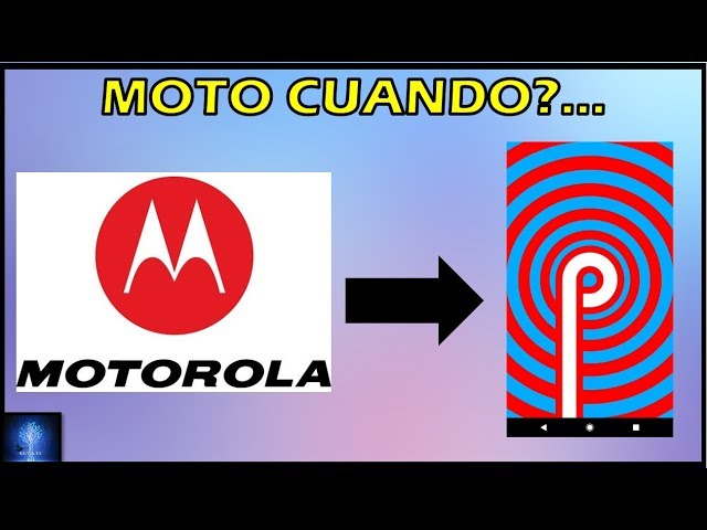 MOTO G6 ANDROID 9 | FAMILIA MOTO G6 ANDROID P | MOTO Z3 ANDROID 9
