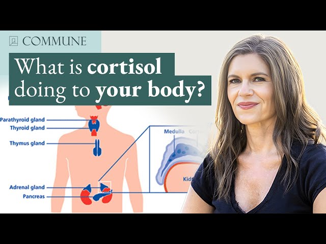 Trauma's Toll: Expert Breaks Down Cortisol's Influence on Health