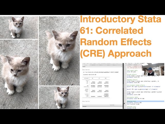 Introductory Stata 61: Correlated Random Effects (CRE) Approach