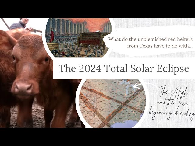 Unblemished RED HEIFERS and The 2024 Total Solar ECLIPSE #prophecy #redheifer #temple #eclipse #god