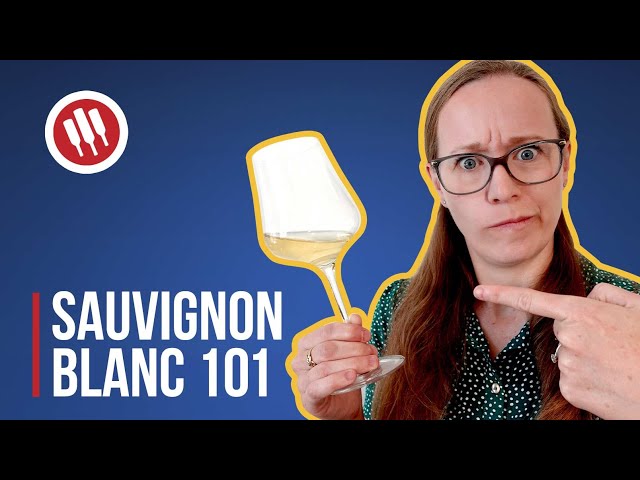 Sauvignon Blanc (Everything you need to know) | Grapes 101