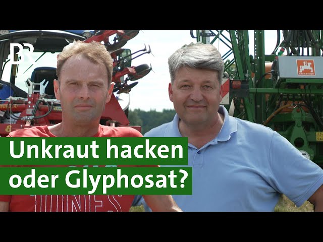 Glyphosat vs. Hacke? Ackerbaubetriebe im Vergleich | Reiche Ernte vs. Umweltschutz | Unser Land | BR