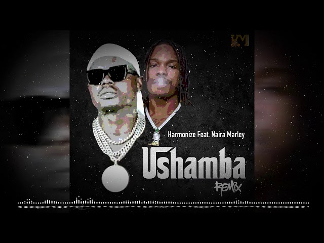 Harmonize Ft Naira Marley - Ushamba Remix (Official Audio)
