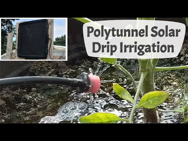 Polytunnel Solar Drip Irrigation Watering System