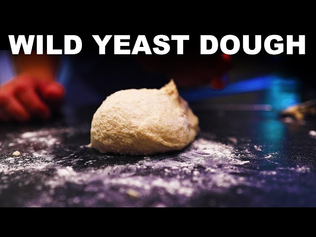 How to capture wild yeast for bread (and WHY it works)