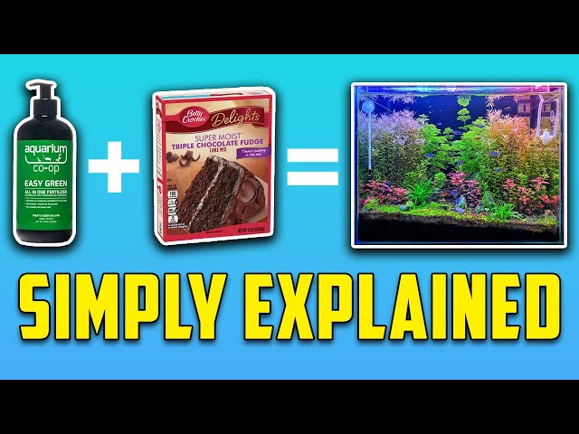 The BEST Way to Explain Aquarium Plants & Fertilizers for Beginners