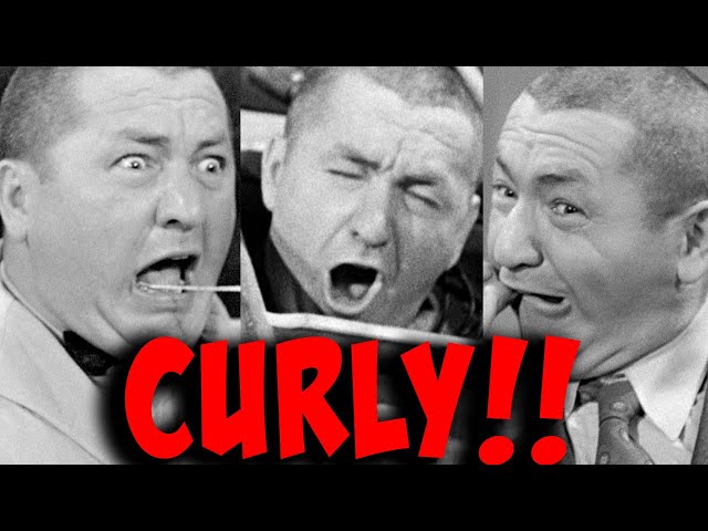 The THREE STOOGES Film Festival - Over THREE HOURS of CURLY!! PART 3