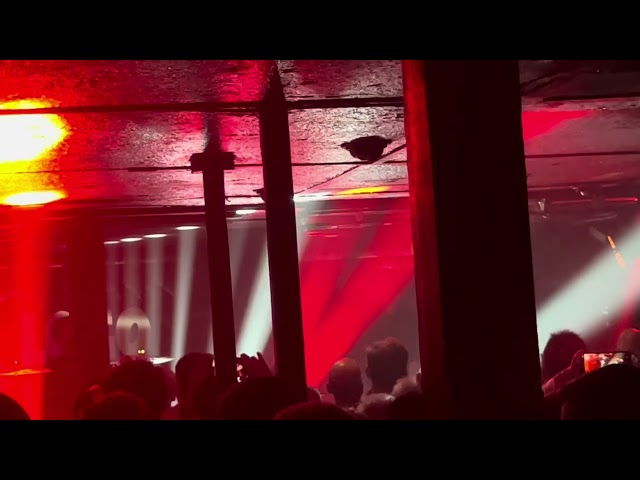 VNV Nation - when is the future - live Hamburg 22.12.23