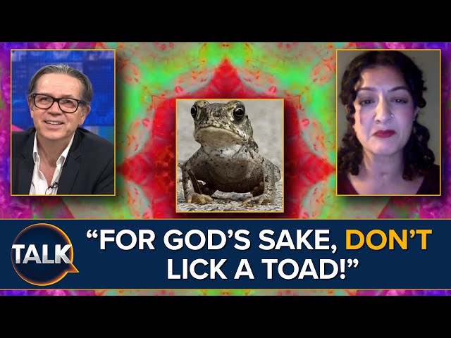 "Don't Lick The Back Of A Toad!" | Kevin O'Sullivan INTRIGUED By Psychotherapist Drug Explanation