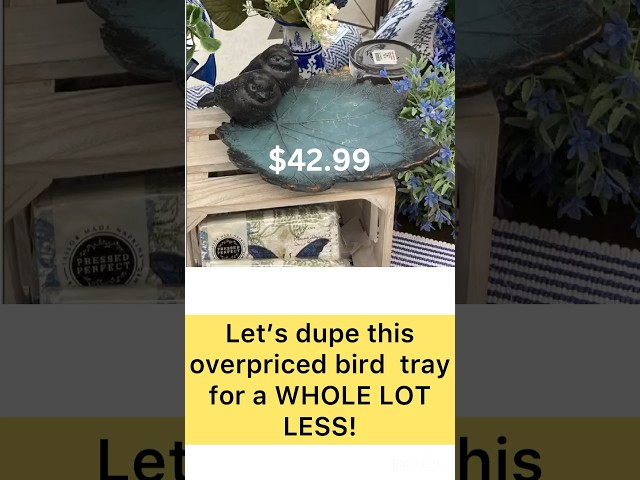 $38.99 SAVED! Bird Tray Dupe #shortvideo #shortsvideo #shorts #short