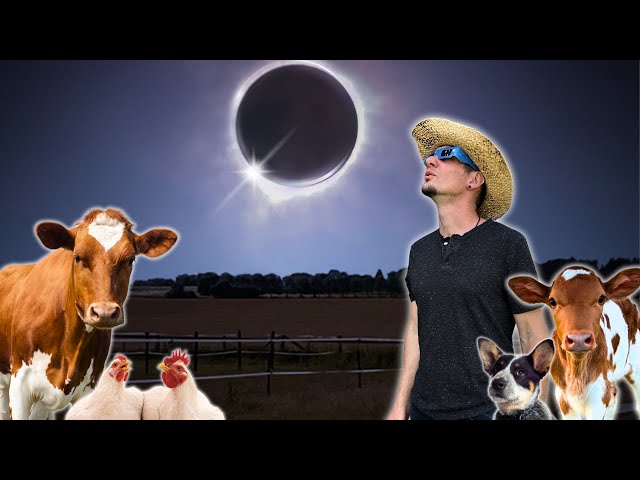 What Happens on a Farm in the PATH OF TOTALITY?! (eclipse special)