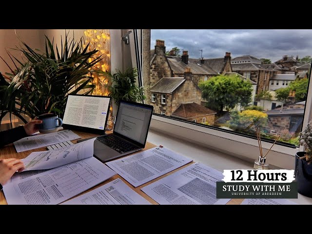 12 HOUR STUDY WITH ME | Background noise, 10 min Break, No music, Study with Merve 1