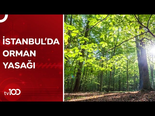 İstanbul'da 15 Ekim'e Kadar Ormanlara Giriş Kısıtlandı | TV100 Haber