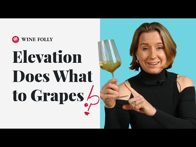 How Elevation Affects Grape Varieties (ep. 39) Wine Folly