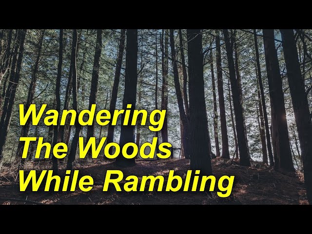 Wandering The Woods While Rambling