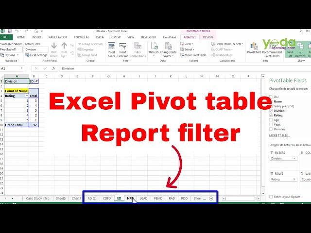 Excel Pivot Table Report Filter | Pivot Table Advanced