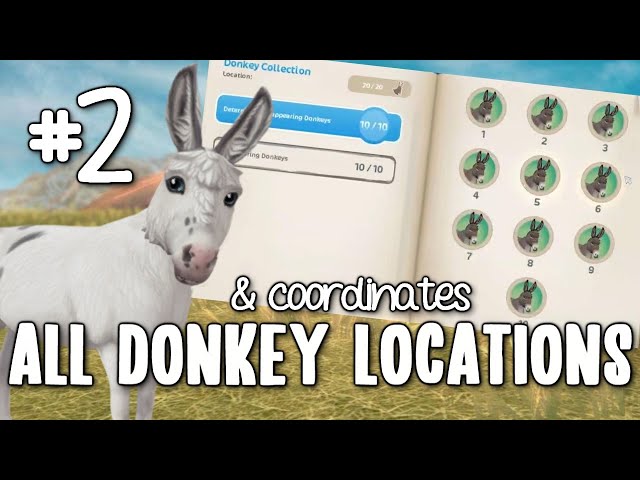 ALL Donkey Locations & coordinates [PART 2] - STAR STABLE ONLINE