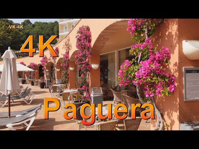 Mallorca, Paguera (Peguera) Reise Doku, Hotel Valentin Park Club mit Trendtours Reisen März 2024