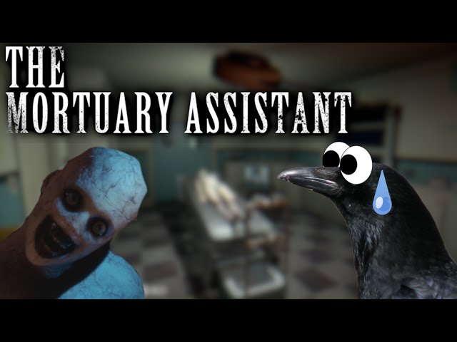 I HATE my new job! | Mortuary Assistant