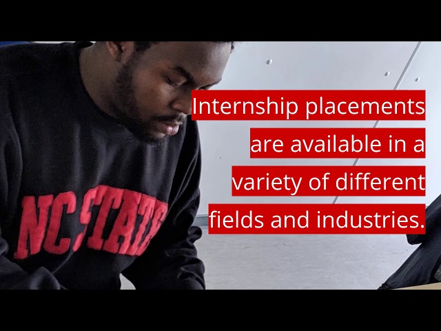 What are global virtual internships?
