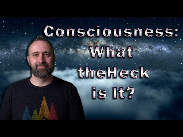 What the Heck is Consciousness?