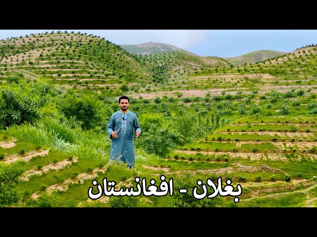 Baghlan Afghanistan | Good News | بغلان او د ابادۍ خبر