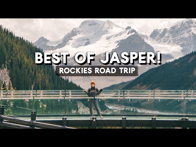 WILCOX PASS in JASPER National Park! | Westfalia Vanlife Rockies Road Trip