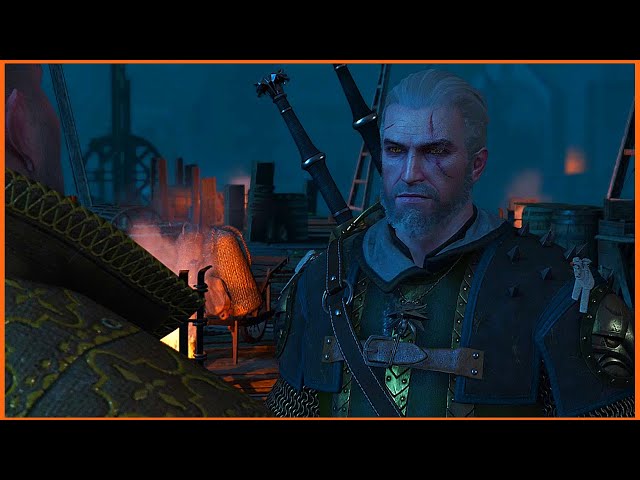 The Assassin of Kings - The Witcher 3
