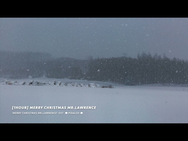 [1Hour] Sakamoto Ryuichi - Merry Christmas Mr. Lawrence (Piano cover)