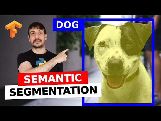 Semantic segmentation with Tensorflow + OpenCV in Python | Computer vision tutorial