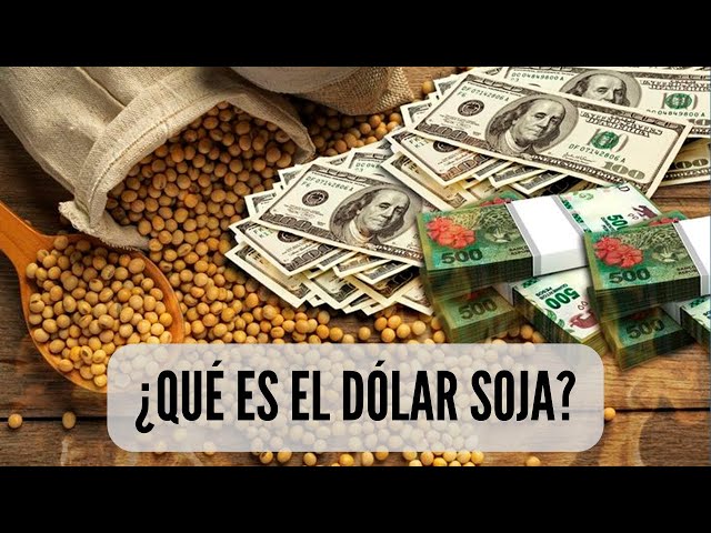¿Qué es el Dólar Soja? - Sergio Massa lanzó el "Dólar Soja II"