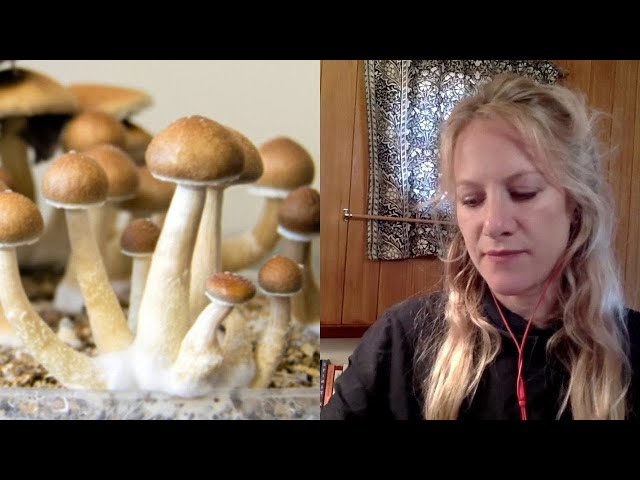 Why The Depression Comes Back After Psilocybin Therapy | Dr. Rosalind Watts