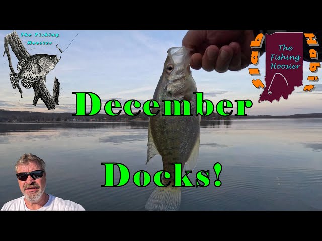December Crappie Dock Fishing! #fishing
