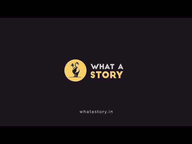 Company Introduction Video - What a Story