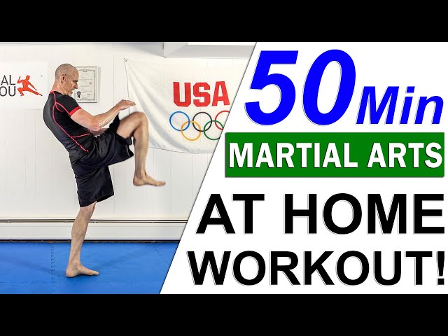 50 Minute Martial Arts Home Workout (No Equipment)