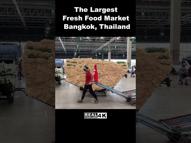 Largest fresh market in #Thailand #Shorts