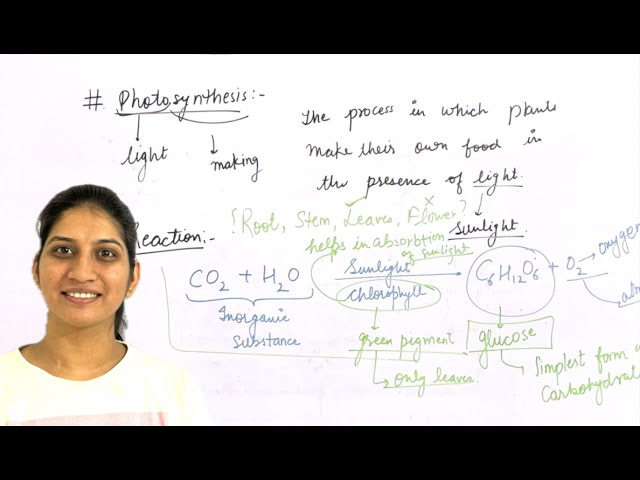 Photosynthesis in Life Processes | CBSE Class 10 Biology | NCERT Class 10 Chapter 6 Science | 2024