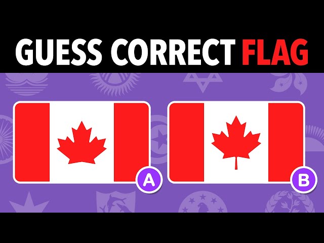Guess The Correct Flag #1 | Flag Quiz