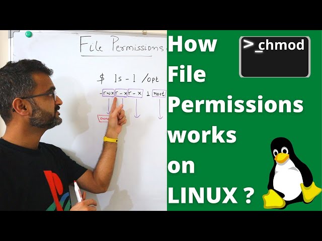 Linux Basics - How to manage file permissions correctly? (2022)