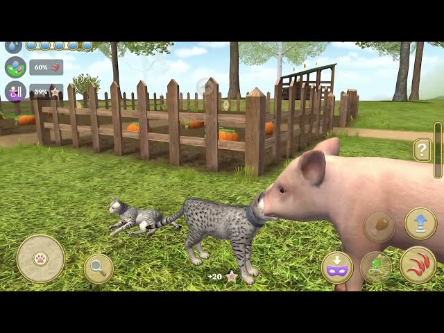 Little Kitten Preschool Adventure Educational Games - Play Fun Cute Kitten Pet Care  Simulator #8