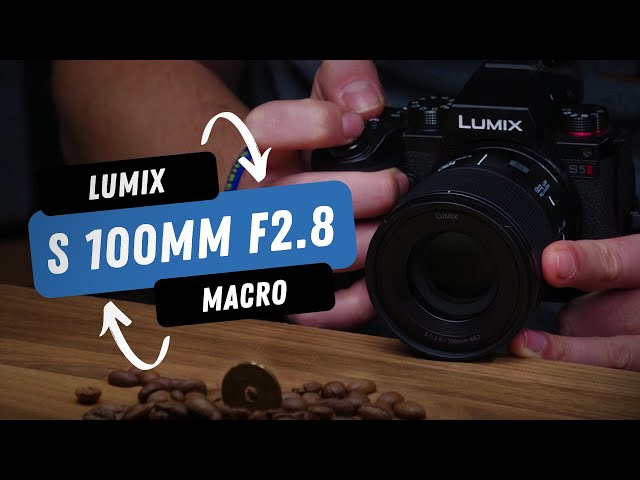 Panasonic LUMIX S 100mm F2.8 Macro Lens | The world's smallest & lightest full-frame macro lens