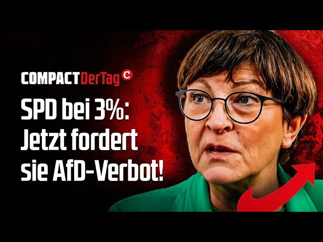 SPD bei 3%: Jetzt fordert sie AfD-Verbot!💥