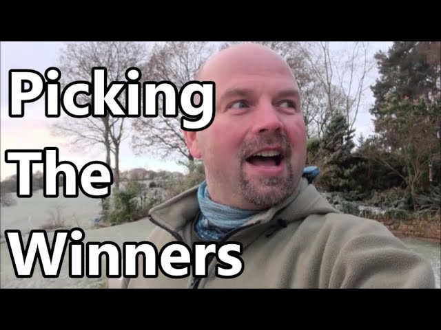 Picking the Winners for Christmas Give Away Videos
