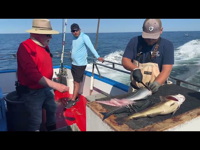 Al Gauron Deep Sea Fishing, Hampton New Hampshire 2023 E/I