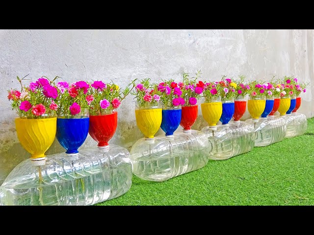 Smart ideas for Plastic Bottles, recycle plastic bottles into self-watering flower pots
