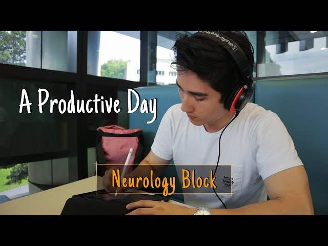 A Productive Day In Medical School | Neurology Block