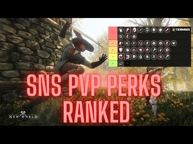 New World PVP - Sword & Shield SNS Perks Rated & Tierlist